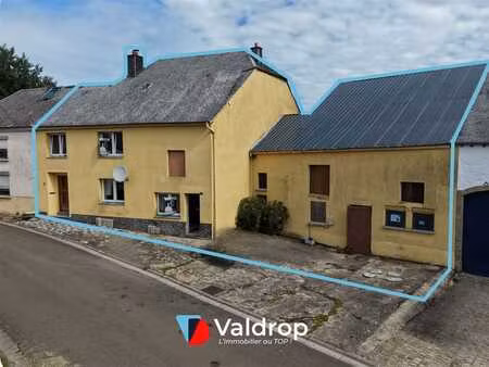 valdrop immo – ancienne ferme gaumaise - valansart