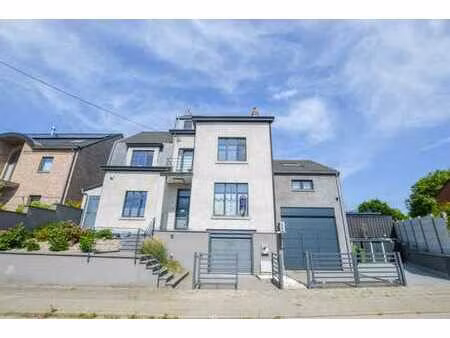 delfimmo - superbe maison avec piscine  sudio & garages !