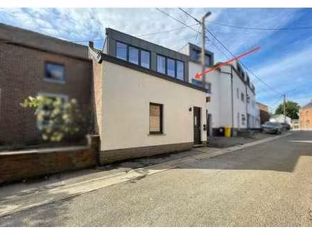 maison 3 chambres entièrement rénovée avec cour et parking