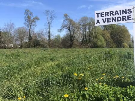 terrain constructible viabilisé à vendre