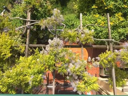 maison 7 ch à ixelles  jardin verdoyant