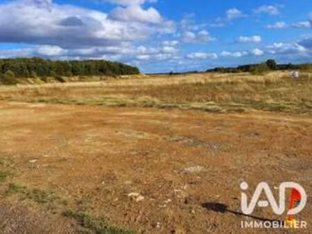 vente terrain à saint-florent-sur-cher (18400) : à vendre / 923m² saint-florent-sur-cher