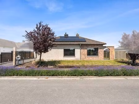 maison à vendre à maldegem € 349.000 (lq0yh) - era thuis (eeklo) | zimmo