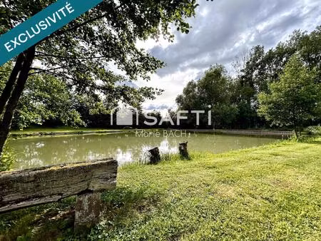 vente terrain 4000 m² waldhambach (67430)