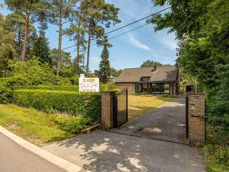 maison à vendre à brecht € 499.000 (lq04j) - yves van pelt immobiliën | zimmo