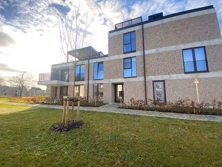 appartement à louer à zonhoven (lq0kc) | zimmo