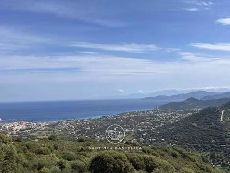 santini & bastelica immobilier