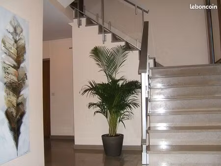 a louer appartement t2 45m2
