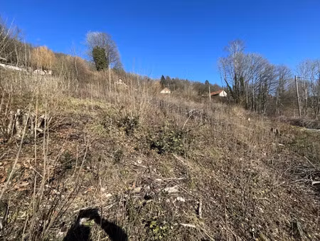vente terrain 1560 m² saulxures-sur-moselotte (88290)