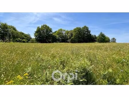 vente commerce 1100 m² ambazac (87240)