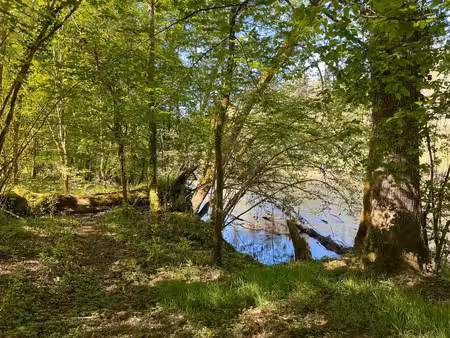 terrain à vendre - bois en bord de rivière