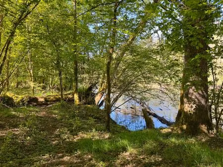 vente maison 8513 m² saint-priest-taurion (87480)