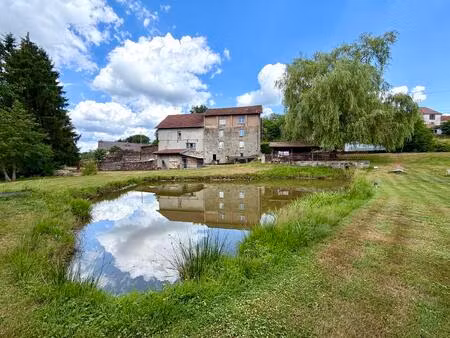 vente maison 7 pièces 170 m² hadol (88220)