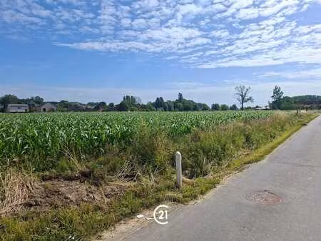 terrains cultivés