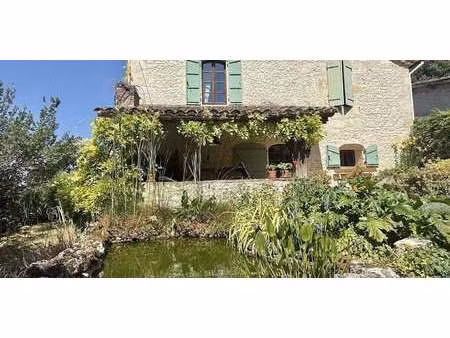 propriété avec piscine et jardin bourg-de-visa (82)
