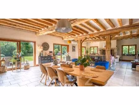 maison avec piscine faverolles (28)