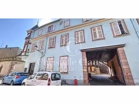 propriété centre - selestat (67)