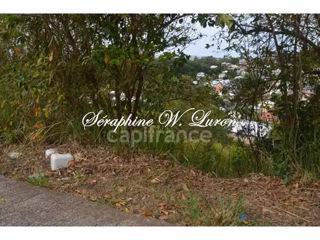 vente terrain 1447 m² la trinité (97220)