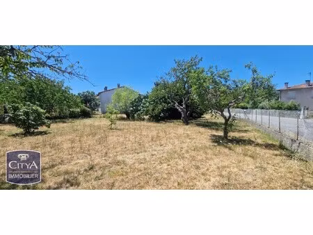 terrain