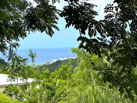 vente terrain 922 m² sainte-luce (97228)