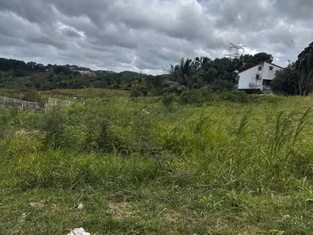 vente terrain 601 m² ducos (97224)