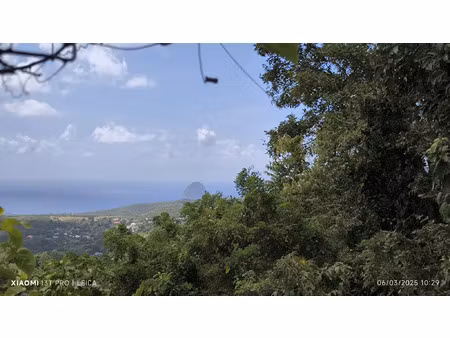 vente terrain 4282 m² le diamant (97223)