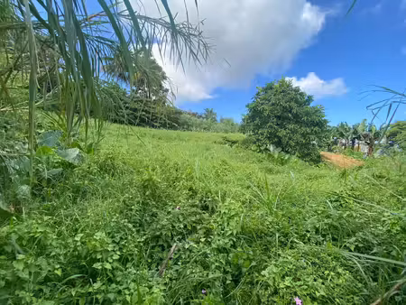 vente terrain le lorrain (97214)