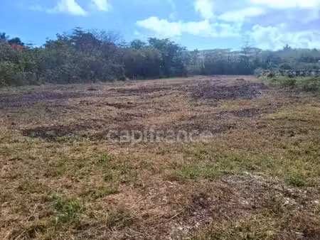 terrain à vendre de 1811 m² sur le moule (971)