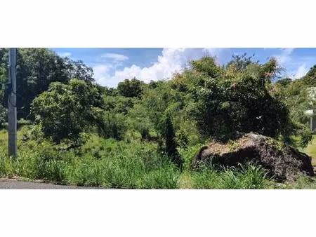 vente terrain 4268 m² pointe-noire (97116)