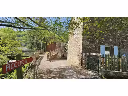 propriété avec piscine le dourn (81)