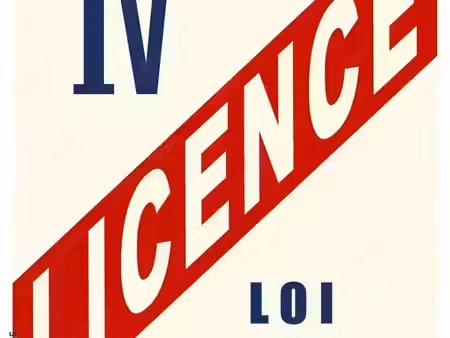 vente licence iv - sans fonds de commerce - (974)