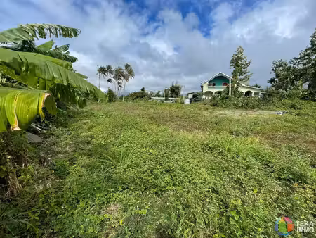 teka immo vous propose a vendre des parcelles de 300m² sur st benoit  a moins de 5 minutes