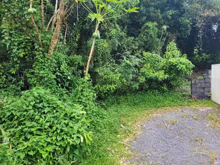 terrain au cœur de la nature  à deux pas du bassin bleu à sainte anne