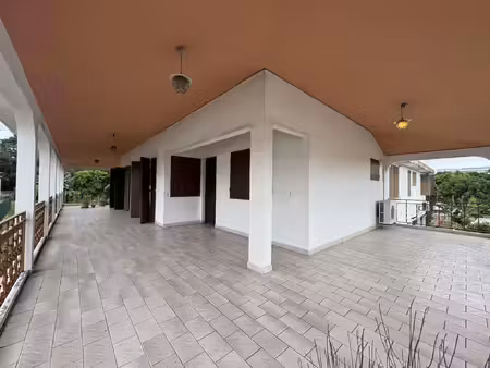 location commerce 163 m² à les abymes (97139)