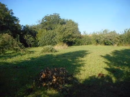 terrain à vendre