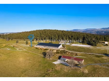 vente propriété 10 pièces 280 m² à coucouron (07470)  595 000 €