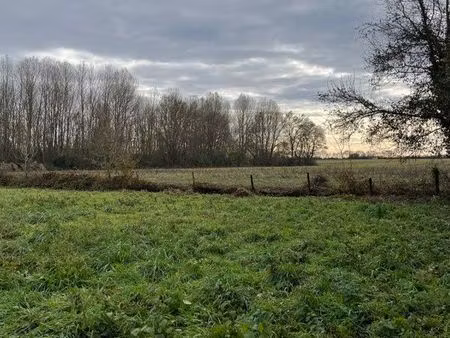terrain  potager  terrain de loisir  terrain agricole  champs à louer