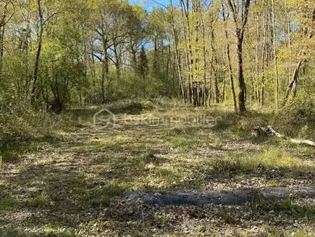 vente terrain 2853 m² à saujon (17600)  19 500 €