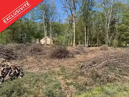 vente terrain 1982 m² à saint-fargeau (89170)  12 500 €