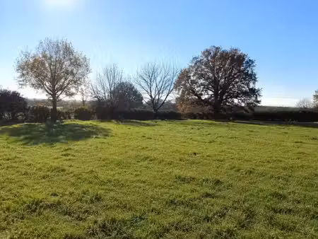 vente terrain 384 m² à courceboeufs (72290)  37 900 €