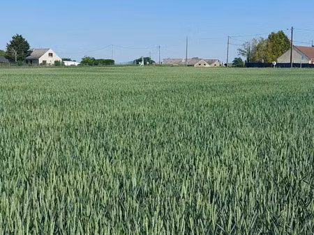 vente terrain 401 m² à puiseaux (45390)  45 400 €