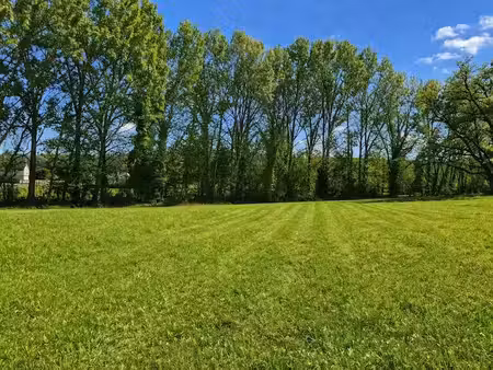 vente terrain 1600 m² à champagne-et-fontaine (24320)  8 500 €