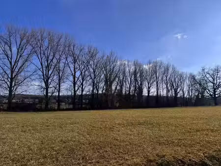 vente terrain 1700 m² à champagne-et-fontaine (24320)  8 500 €
