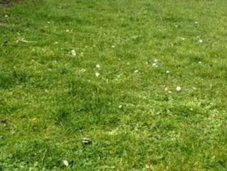 vente terrain 798 m² conty (80160)