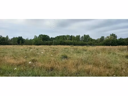 vente terrain 2276 m² à ménesplet (24700)  30 000 €