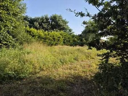 vente terrain à plouha (22580) : à vendre / 645m² plouha