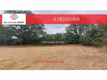 vente terrain 4920 m² à bouesse (36200)  40 000 €