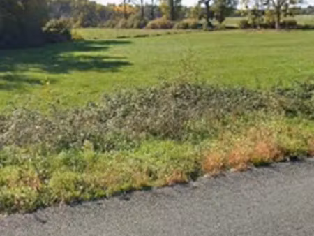 vente terrain 500 m² à saint-genès-de-fronsac (33240)  52 000 €