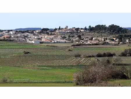 vente terrain 470 m² à conques-sur-orbiel (11600)  52 000 €