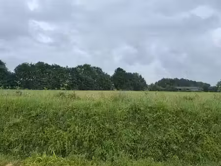 vente terrain 431 m² à cossé-le-vivien (53230)  39 824 €
